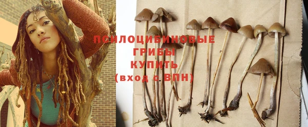 марки lsd Бородино