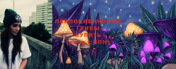 марки lsd Бородино
