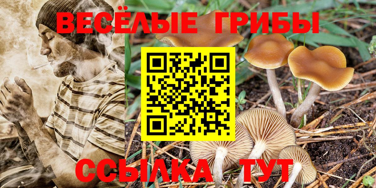 Бугуруслан  Псилоцибиновые грибы Psilocybine cubensis  Вход с VPN  Галлюциногенные грибы прущие грибы 